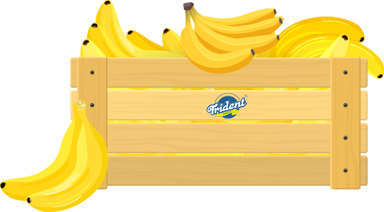 Bananas in Wooden Box