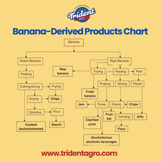 Banana-Derived Products Chart