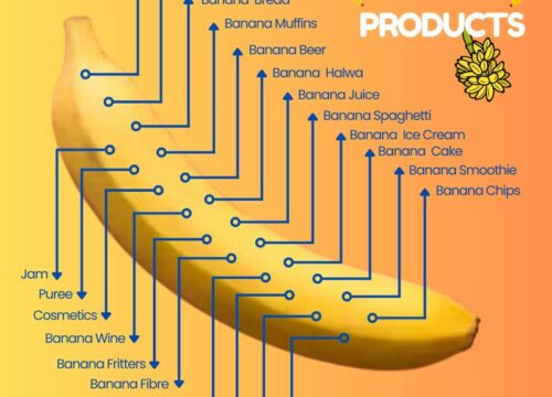 Banana Products