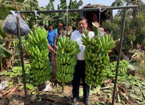 Success Story: विदेश में नौकरी छोड़कर शुरू किया केले का निर्यात, खड़ी की 100 करोड़ रुपये से ज्यादा की कंपनी!