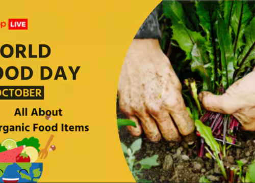 World Food Day 2023: What Is Organic Farming? All That You Need To Know